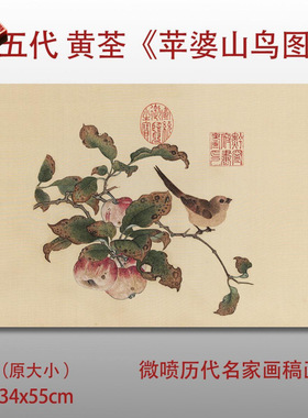 五代黄筌苹婆山鸟图名家国画真迹复制品高清艺术微喷绢本临摹