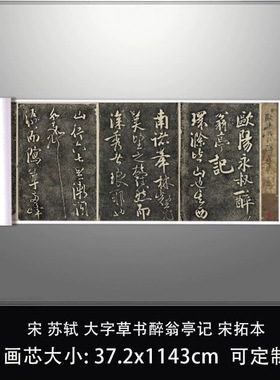 11宋苏轼大字草书醉翁亭记宋