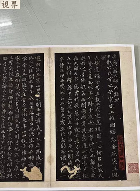 苏轼宋唐广济大师行录复古书法字