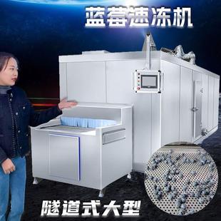 速冻机大型全自动单冻设备 商用蓝莓玫瑰果树莓黑莓出口冷冻隧道式