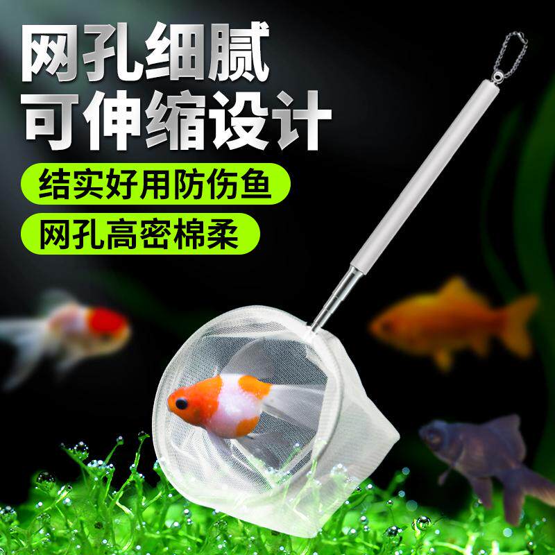 小渔鱼捞兜鱼水族箱抄网金鱼观赏鱼超密长方形手柄儿童捕捞可伸缩
