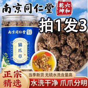 同仁堂猫爪草中药材猫爪草散结茶猫爪草泡水泡茶煲汤官方正品
