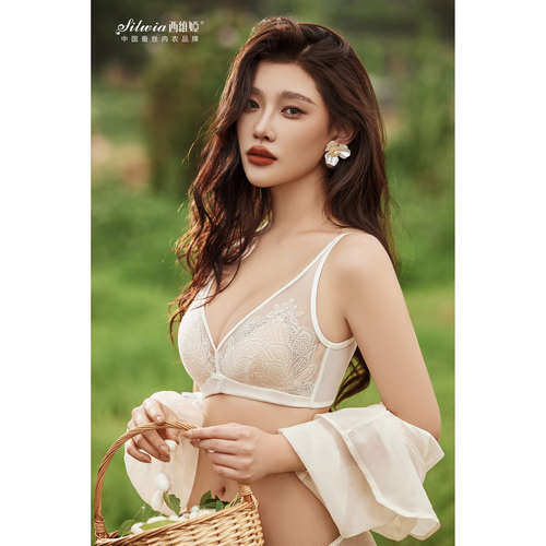 西维娅记忆软钢圈薄棉B杯记忆软钢圈小胸聚拢女士性感内衣S772-11