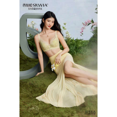 西维娅记忆钢圈勺子水晶杯大胸显小收副乳定型桑蚕丝正品S805-21