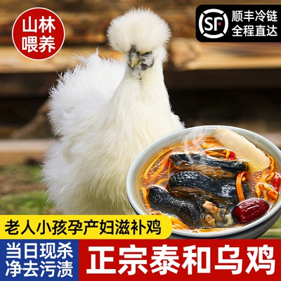 正宗泰和乌鸡现杀现发土鸡农家散养老母鸡公鸡活鸡整只正宗乌骨鸡