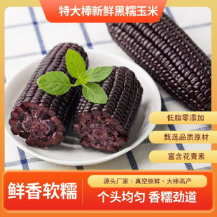 黑玉米糯玉米棒甜糯紫糯新鲜苞米非转基因真空包装 蜜蜂零食节