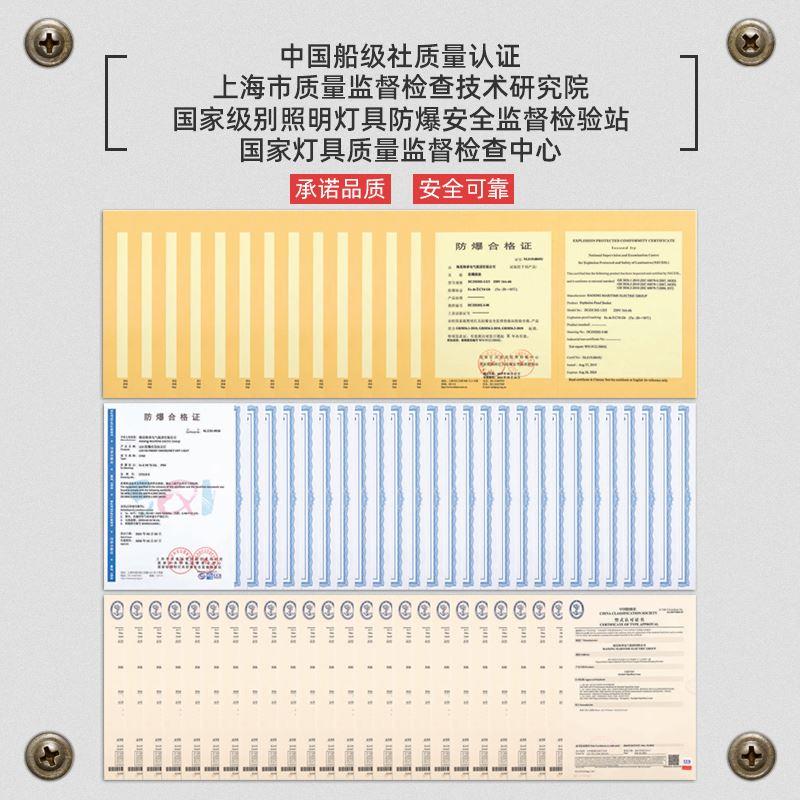 海星船用白炽舱顶灯CCD9-2-2N/CCD9-3-2N铝质E27舱室照明灯CCS证