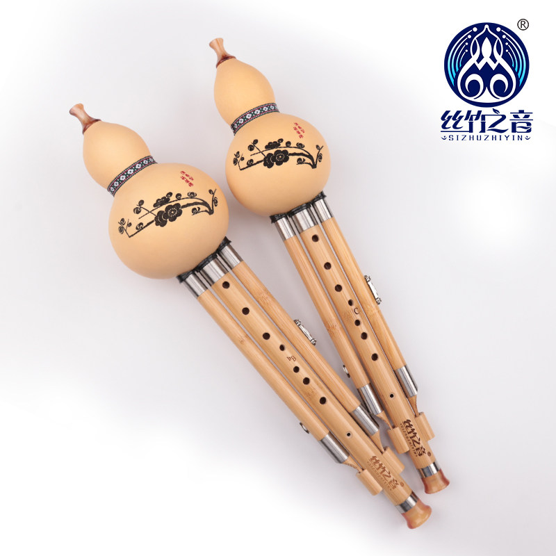 葫芦丝C调降b调F调儿童学生专用楠竹九孔葫芦丝演奏云南名族乐器