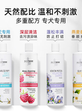 爱犬岛everyday系列泰迪