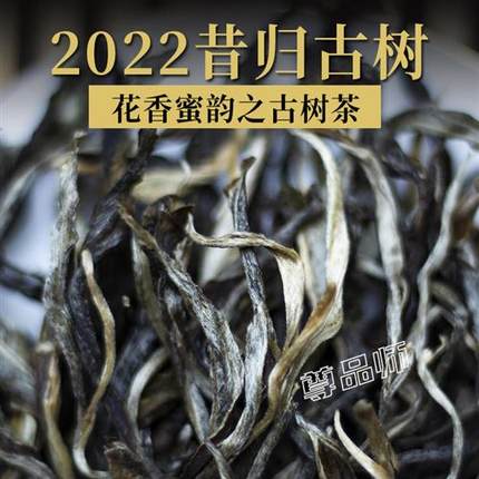 2022年微转化老茶昔归古树茶纯料散茶云南普洱茶生茶特级茶叶500g