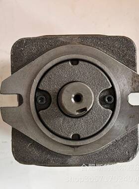 齿轮泵NB4-G40,G50,G63FTDI聚醚发泡机齿轮泵