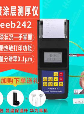 里博工业涂层测厚仪242铁铝双用电镀漆膜涂镀层测厚仪带打印