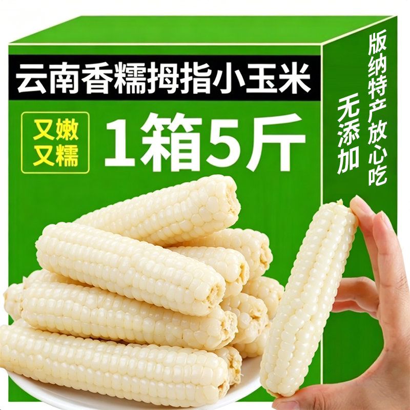 整箱拇指小玉米云南西双版纳