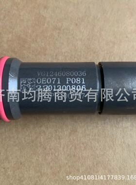 VG1246080036喷油器 重汽潍柴发动机总成油嘴承接外贸订单