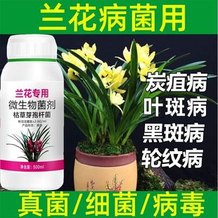 兰花专用药杀菌剂黑斑病叶斑病兰陵王根腐炭疽病专用微生物菌剂