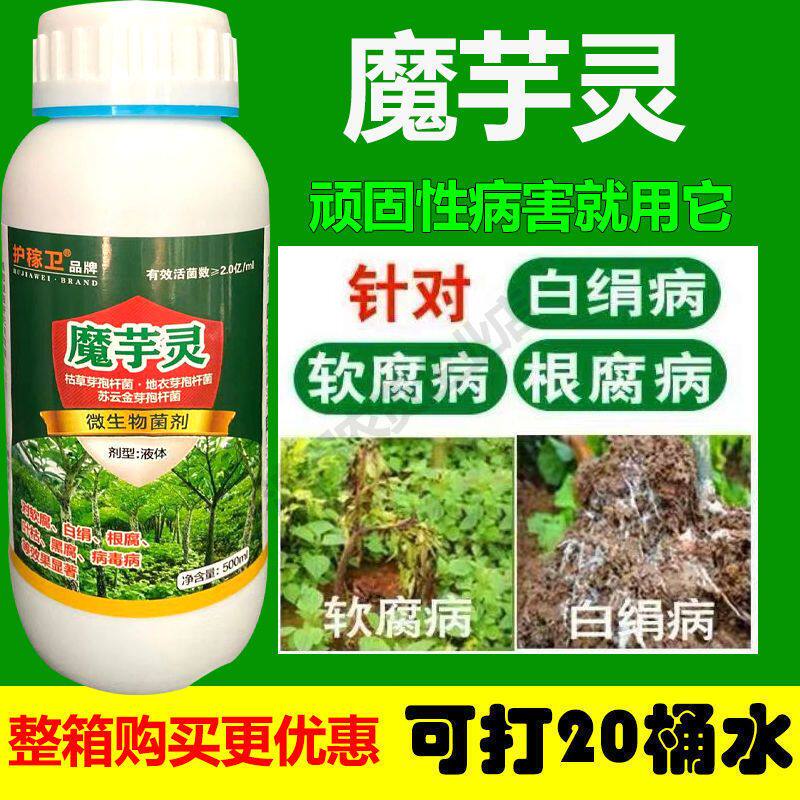 魔芋专用药魔芋专用杀菌药魔芋药专用防病汰腐净魔芋灵魔芋软腐病