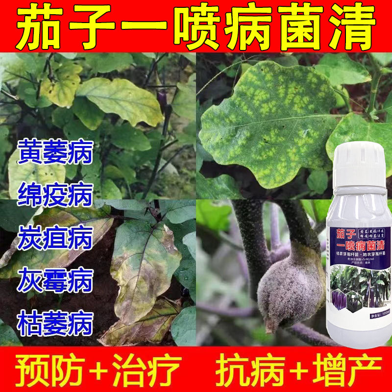 茄子专用药茄子黄萎病灰霉病绵疫病枯萎病炭疫病病毒病根腐病专用
