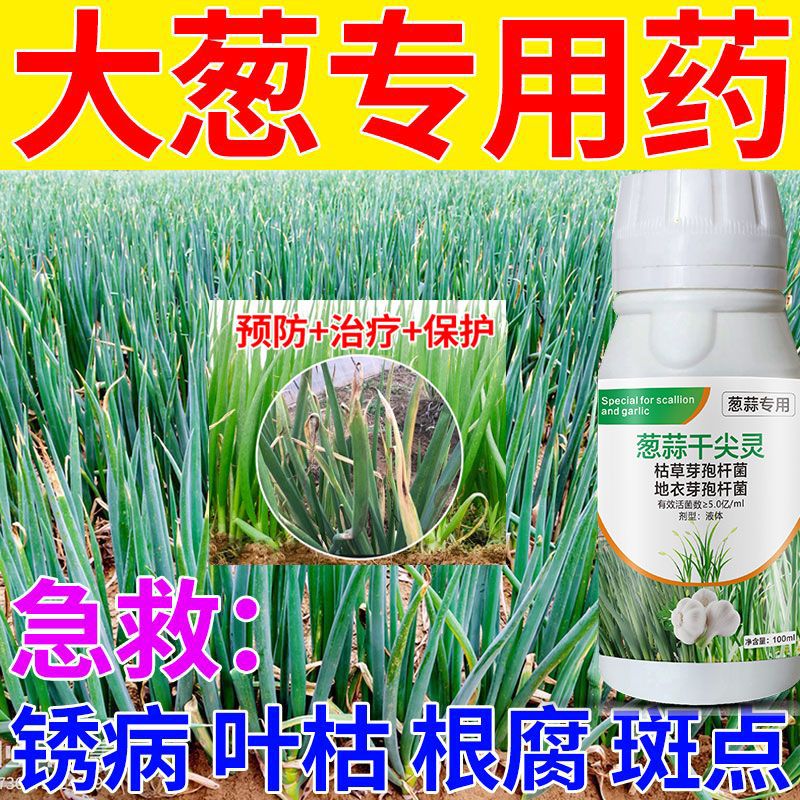 大葱白斑病葱病药专用药大葱锈病黄叶干尖锈病紫斑病软腐病灰霉病
