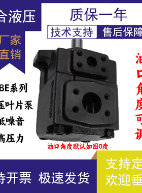 YB-E8/E16/E25/E32/E40/E50/E63/E80/E100/E125双联高压叶片泵YBE