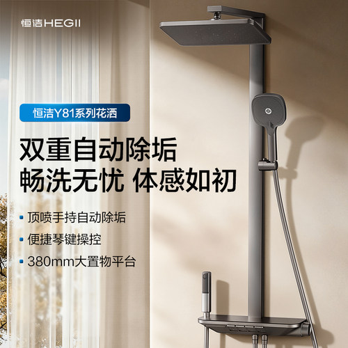 恒洁淋浴花洒套装家用花洒套装置物平台贴墙方管铜主体花洒966B