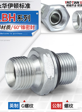 1BH英制转公制接头规格齐全厂家