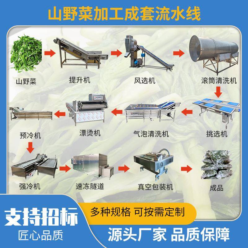 速冻山野菜地菜加工线荠菜清洗漂烫冷却流水线加工成套设备机器
