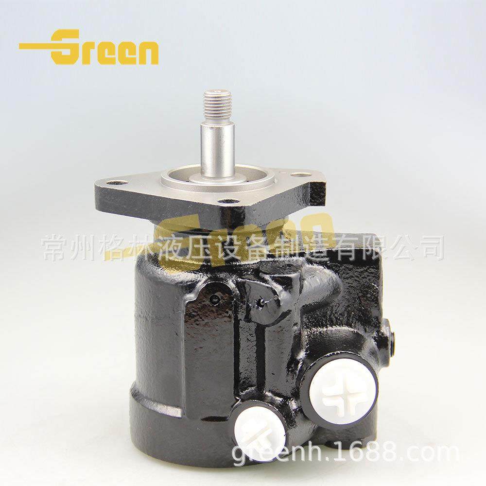 38-405.405-1-ASHOKLEYLAND汽车助力转向泵工业油泵汽车配件