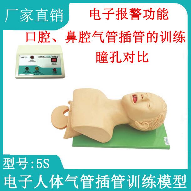 高级人体气管插管训练模型带电子牙齿报警成人急救训练教学模具