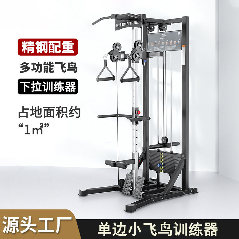 单边飞鸟龙门架家用小飞鸟综合训练器高拉低拉一体健身力量器械