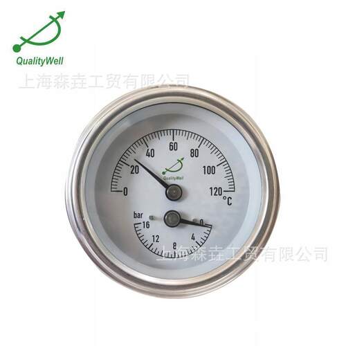 全不锈钢SS304防水专用轴向温度压力一体表0-16bar0-120C