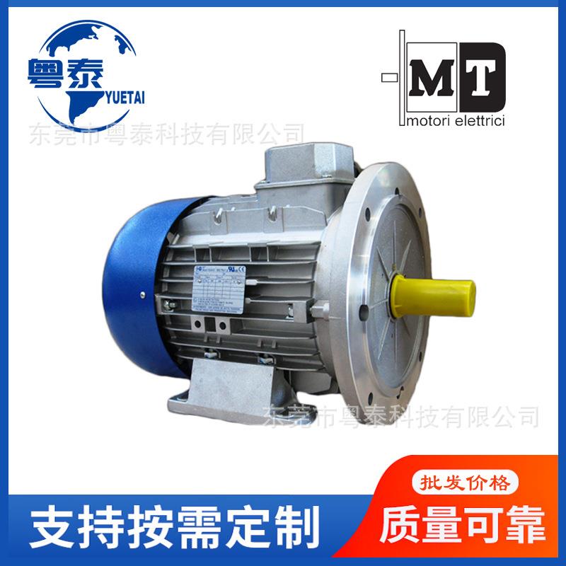 意大利MT电机TN63B471B480B490L4TFP100B4TFP112B4132MB4