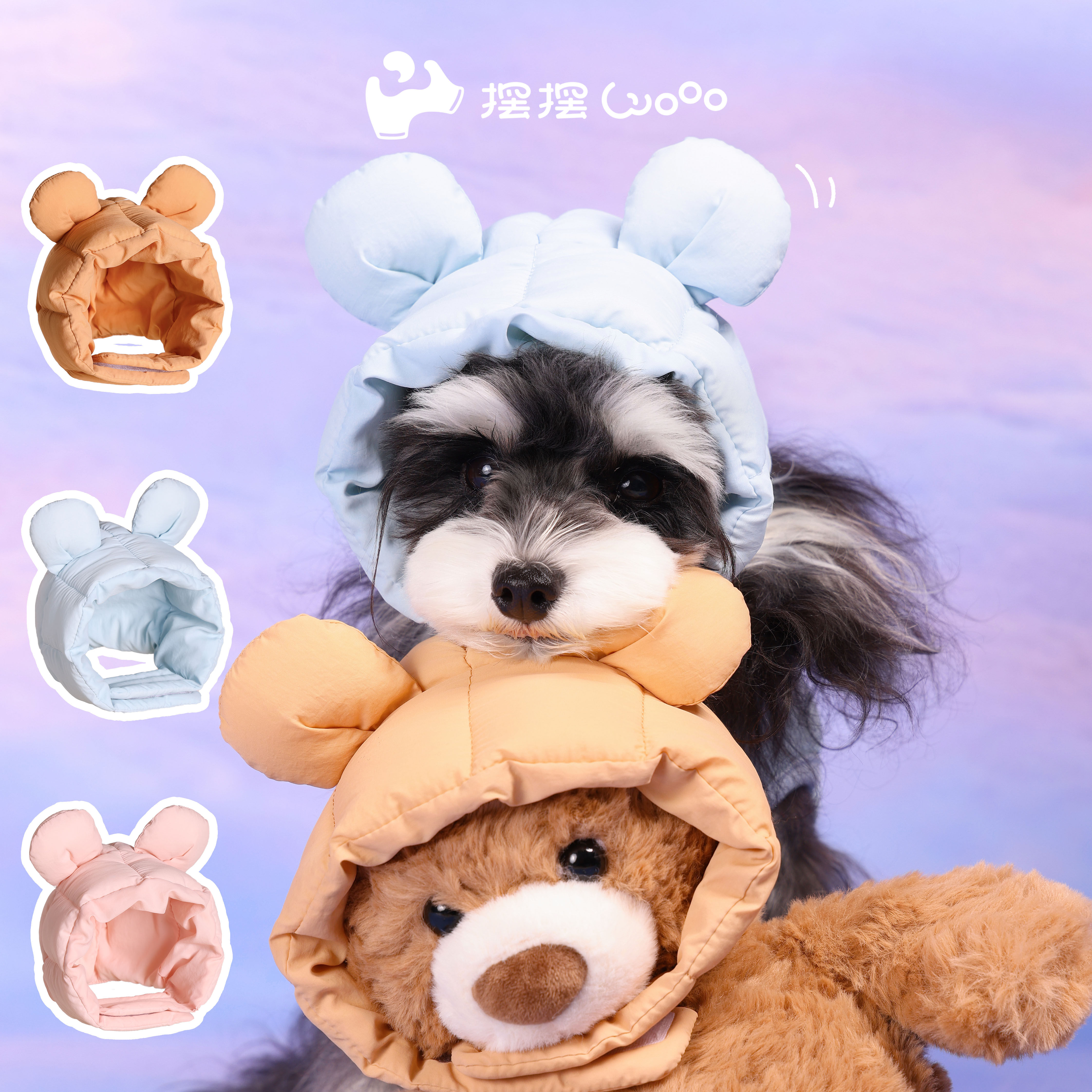 摆摆Wooo小熊帽子宠物猫狗帽子秋冬百搭充棉可爱韩系ins风粉蓝萌,宠物/宠物食品及用品,帽子,淘宝优惠券,粉丝福利购,淘宝优惠卷