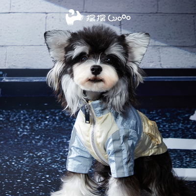 摆摆Wooo「冲冲冲冲冲啊冲锋衣」蓝黄|宠物未来街头朋克酷帅潮流