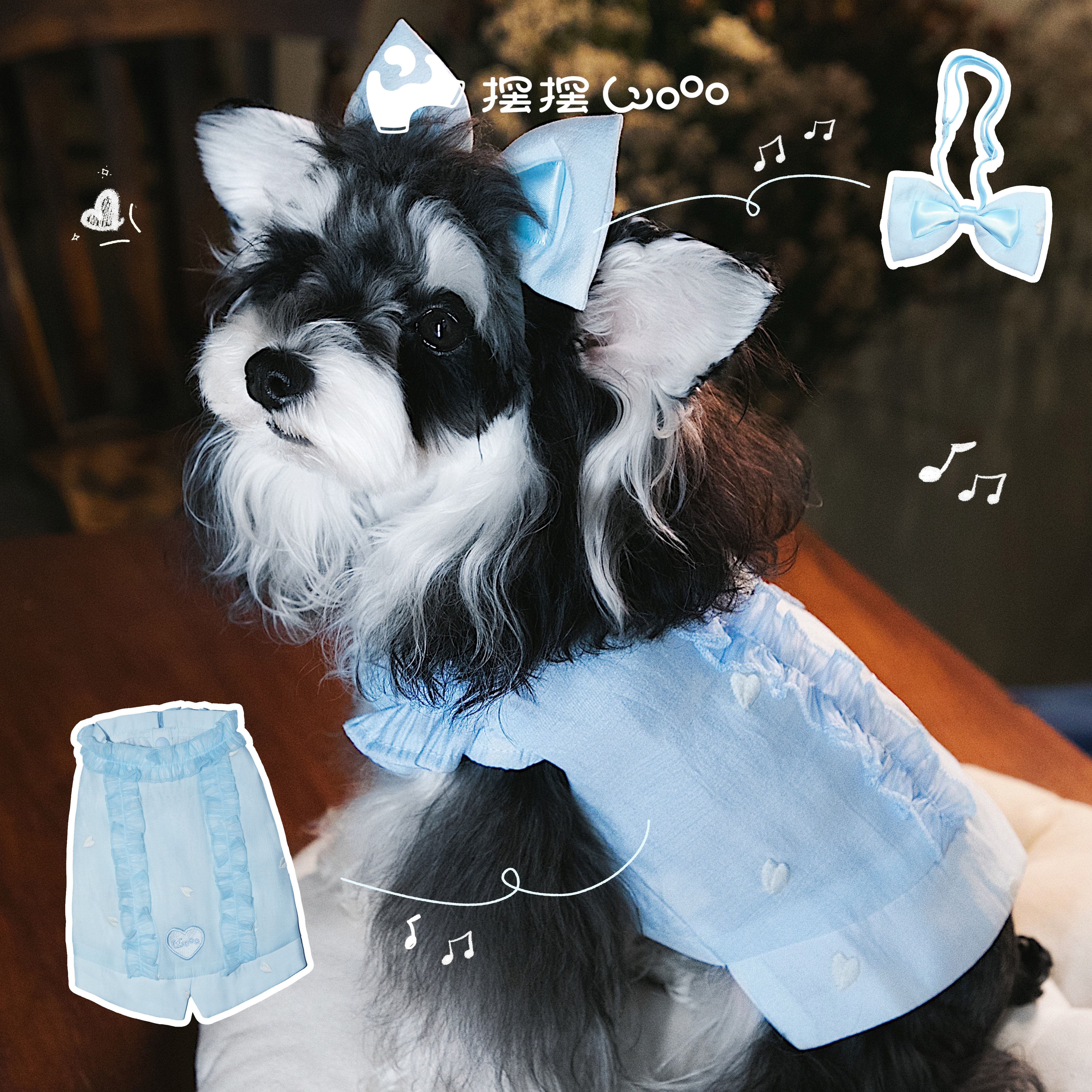 摆摆Wooo宠物猫狗礼服领结套装衬衫小王子马尔济斯雪纳瑞礼物生日