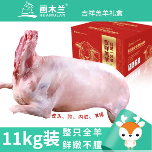 画木兰吉祥羔羊整只羊酮体（9kg-15kg）