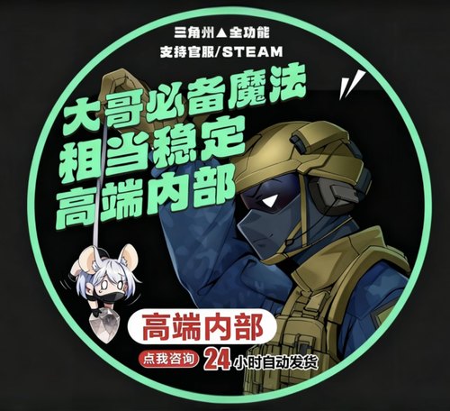 三角洲辅助pc端 支持国际服 国服物资视觉 白鲨，太极，定制版