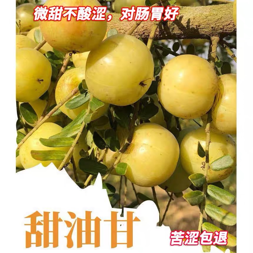 正宗潮汕柿饼甜油甘新鲜油柑大果余甘牛甘鲜果子水果滇橄榄崩砍