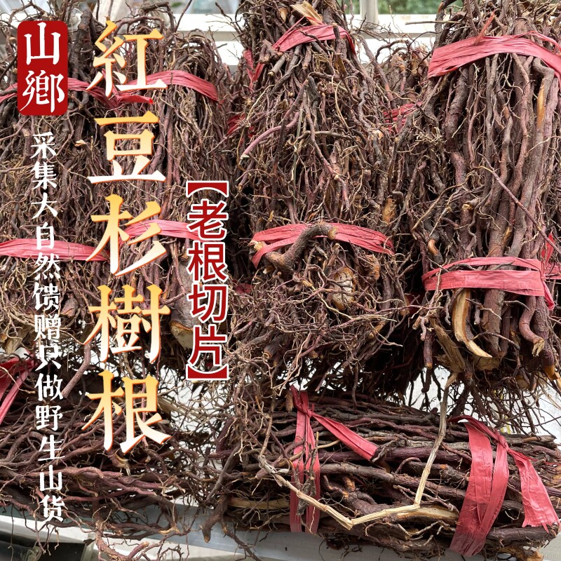 宜兰山红/豆杉根炖排骨