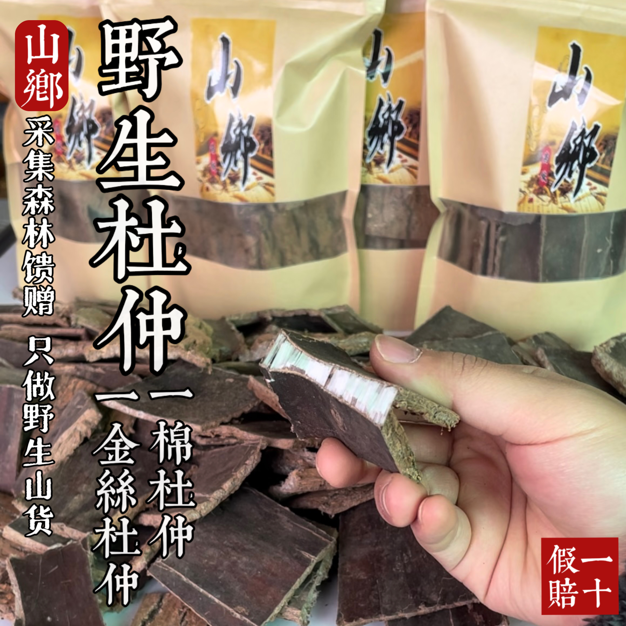 山乡药域 正宗杜仲拉丝效果好 可定制批发零售中药材湖南源头货源