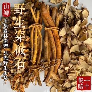 山乡药域 野生穿破石根正宗九层皮中药材穿破石构棘根柘树根包邮