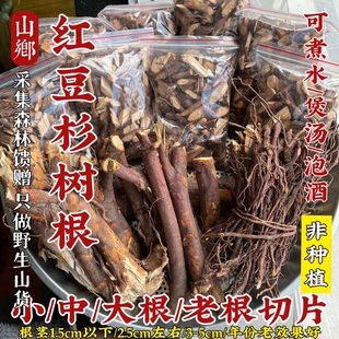 山乡药域 宜兰山红/豆杉根红/豆杉根果皮叶炖排骨宜兰山红/豆杉根
