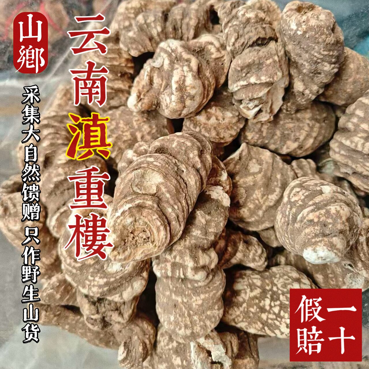 山乡药域 正宗重楼云南滇重楼独角莲七叶一枝花源头
