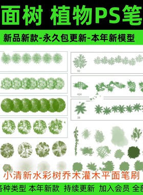 平面树植物ps笔刷小清新水彩树乔木灌木总平面图灰色彩平植物笔刷