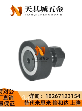 替代怡和达BPY01-d5-D13-PP包胶凸轮L轴承随动器进口型圆柱型/球