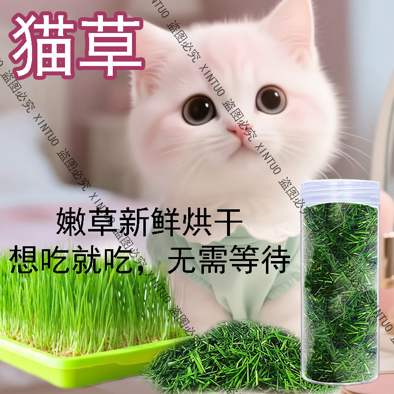 猫草烘干猫咪专用化毛排毛猫咪零食去毛球洁齿小麦草已成好营养草