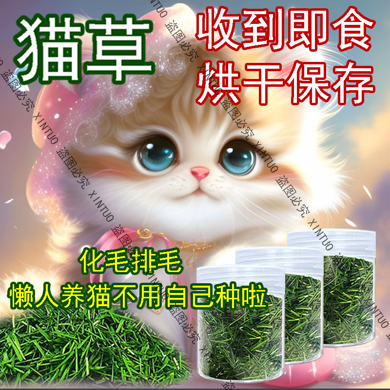 XINTUO爆款烘干猫草成品猫咪宠物即食化毛球小麦干草助消化清口气