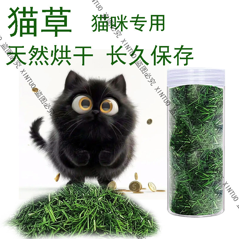 新鲜长好的烘干猫草切段猫咪化毛排毛猫薄荷饼干猫草片磨牙洁齿