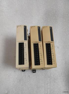 TWDAMI2HT 2路模拟量输入模块