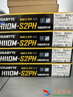 H110M-S2PH 4片