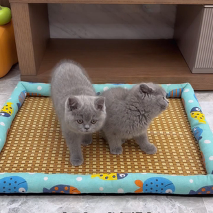 宠物垫藤编宠物凉席宠物床四季 猫窝凉席宠物冰垫夏季 通用防水防抓